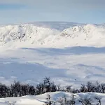 Flott I Vestlia - In/ski Out Apartamento