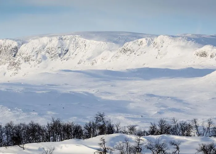 Flott I Vestlia - In/ski Out Διαμέρισμα