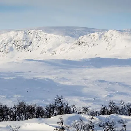 Flott I Vestlia - In/ski Out Appartement